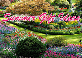 Summer Gift Ideas