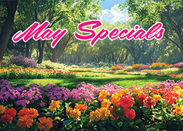 May Specials